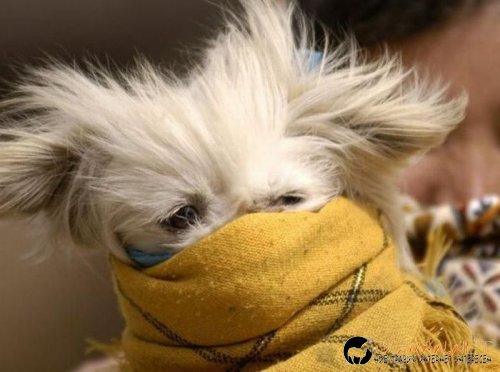 Съботните Топ снимки