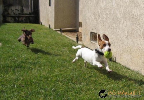 Съботните Топ снимки