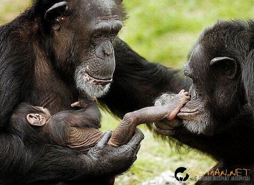 Съботните Топ снимки