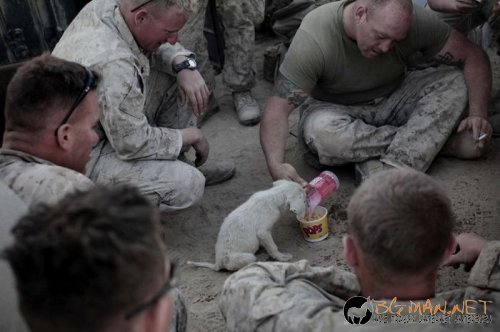 Съботните Топ снимки