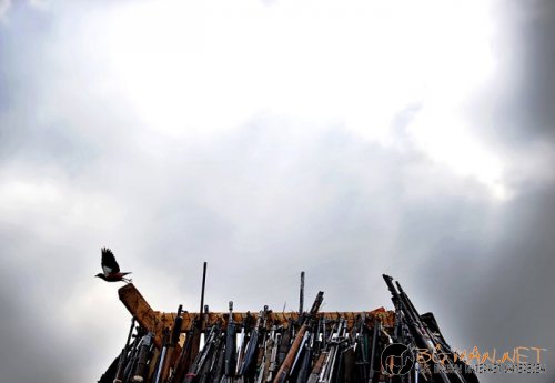 Съботните Топ снимки