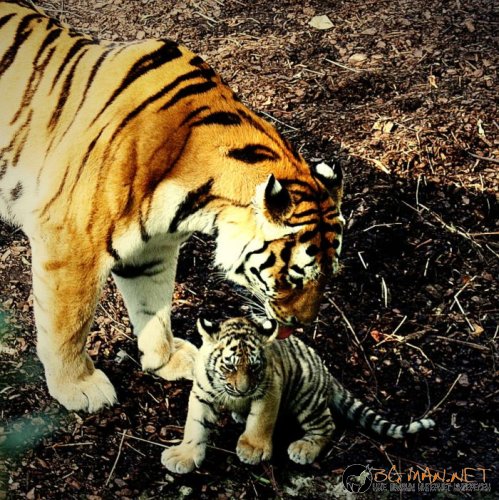 Съботните Топ снимки