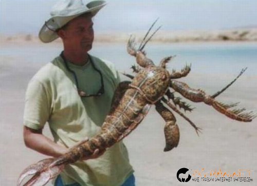 Съботните Топ снимки