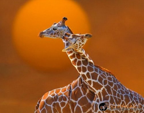 Съботните Топ снимки