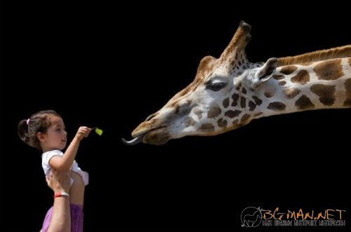 Съботните Топ снимки