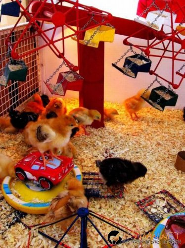 Съботните Топ снимки