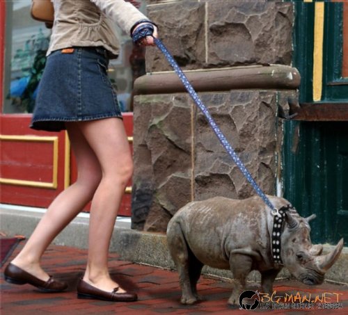 Съботните Топ снимки