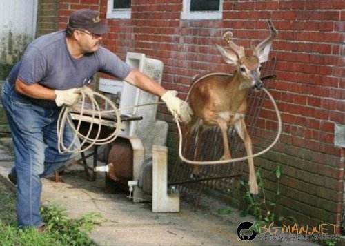 Съботните Топ снимки