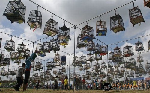 Съботните Топ снимки