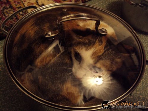 Съботните Топ снимки