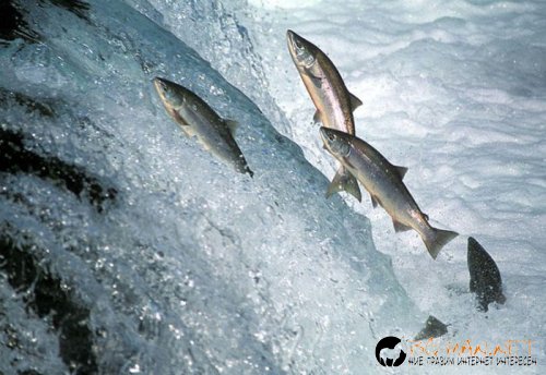 Съботните Топ снимки