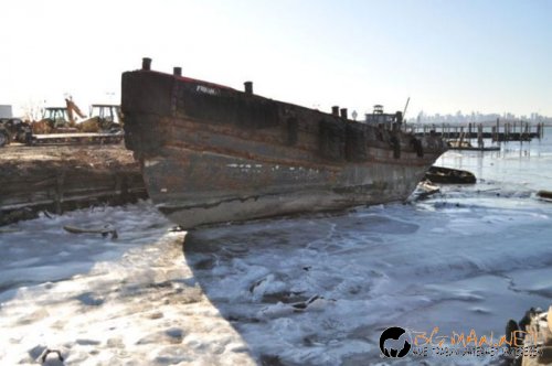 Съботните Топ снимки