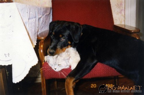 Съботните Топ снимки