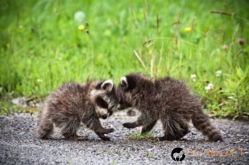 Съботните Топ снимки