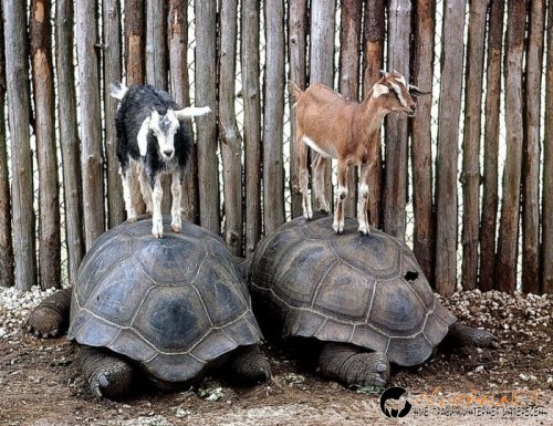 Съботните Топ снимки