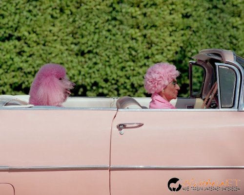 Съботните Топ снимки