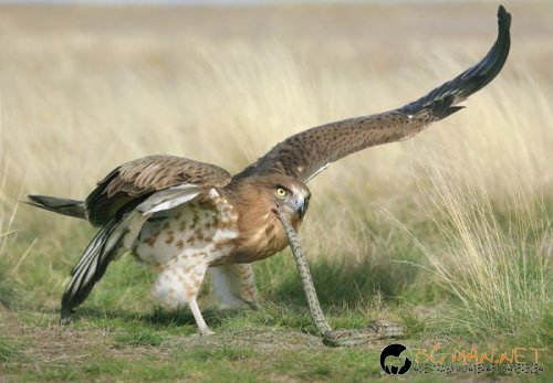 Съботните Топ снимки