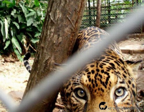 Съботните Топ снимки