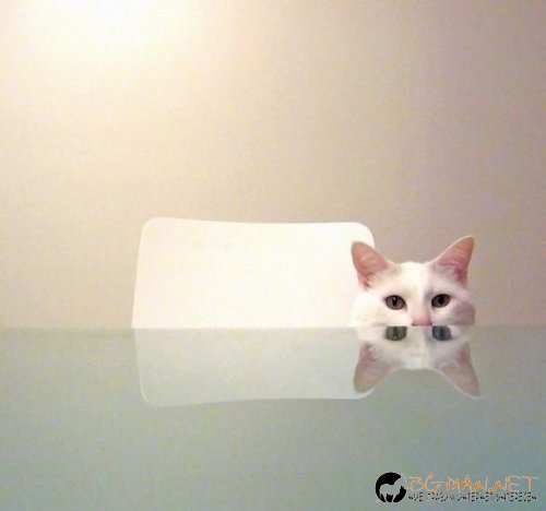 Съботните Топ снимки