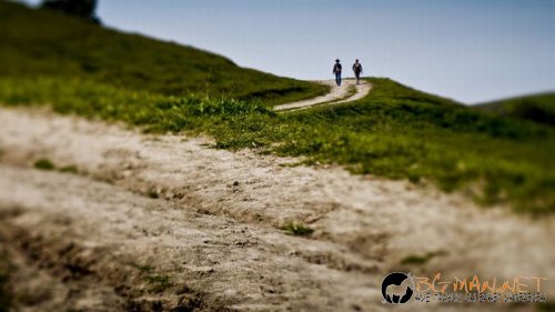 Съботните Топ снимки