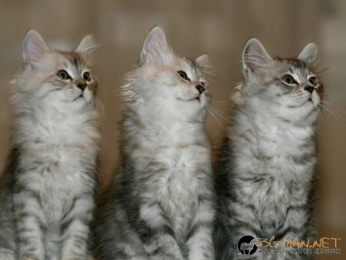 Съботните Топ снимки