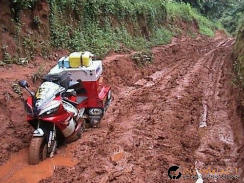 Съботните Топ снимки