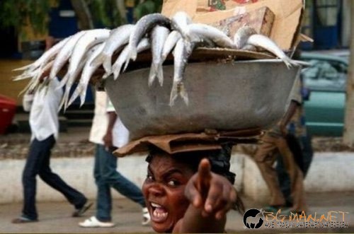 Съботните Топ снимки