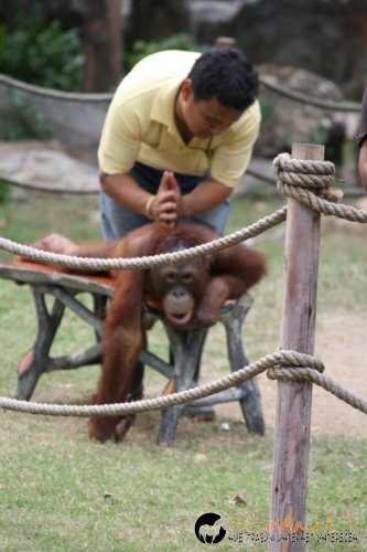 Съботните Топ снимки