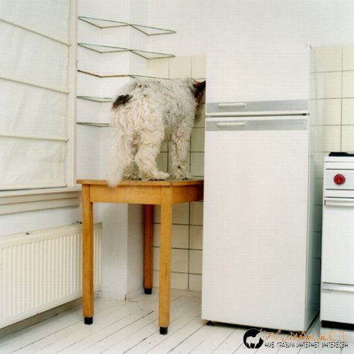 Съботните Топ снимки