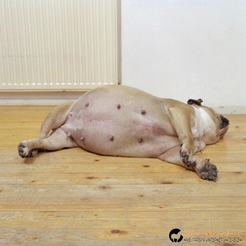 Съботните Топ снимки