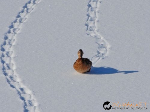 Съботните Топ снимки