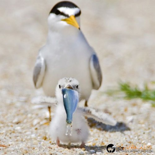 Съботните Топ снимки