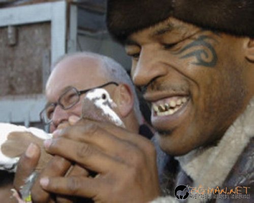 Съботните Топ снимки