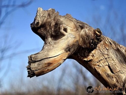 Най-интересните снимки днес