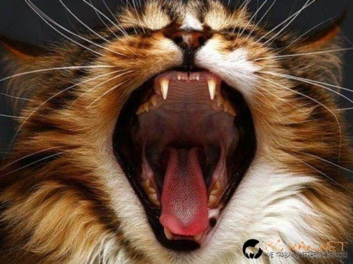 Топ снимките за днес 14.04