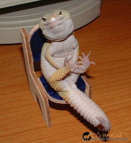 Фотоподборката за тази неделя