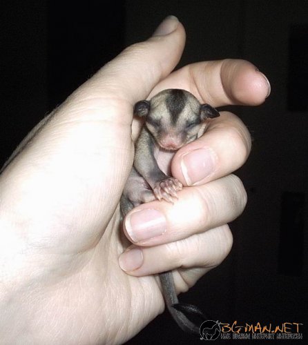 Днешната фотоподборка