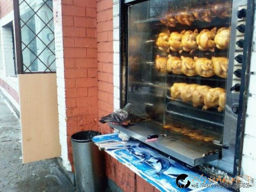 Днешната фотоподборка