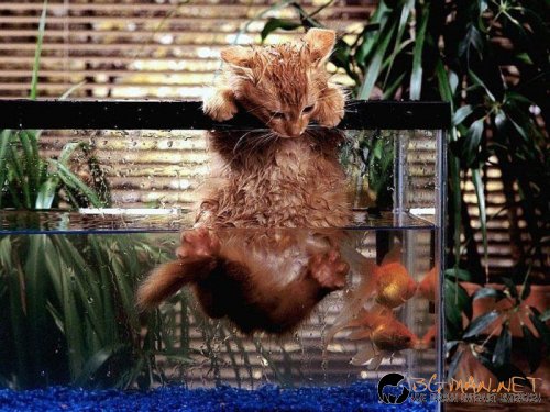 Днешната фотоподборка