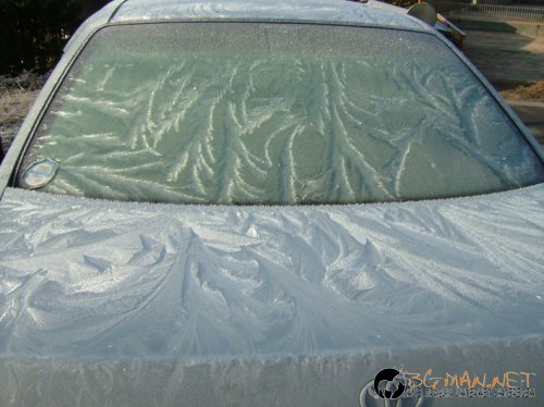 Днешната фотоподборка