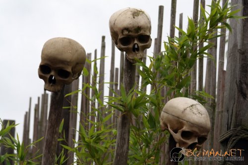 Днешната фотоподборка