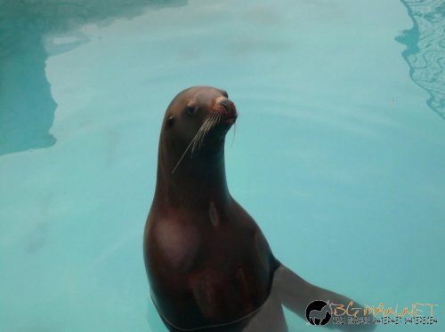 Днешната фотоподборка