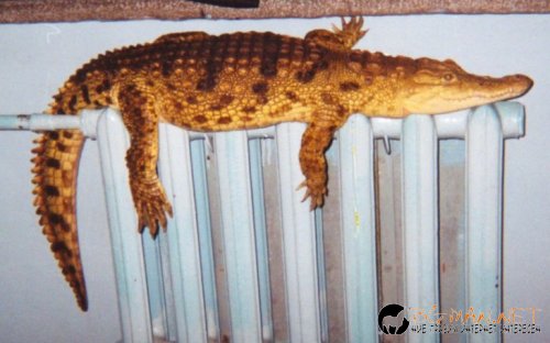 Днешната фотоподборка