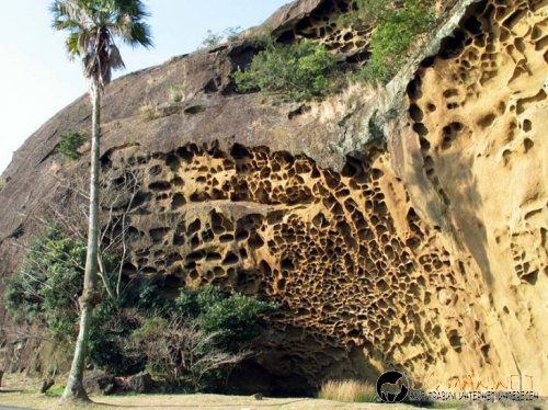 Днешната фотоподборка