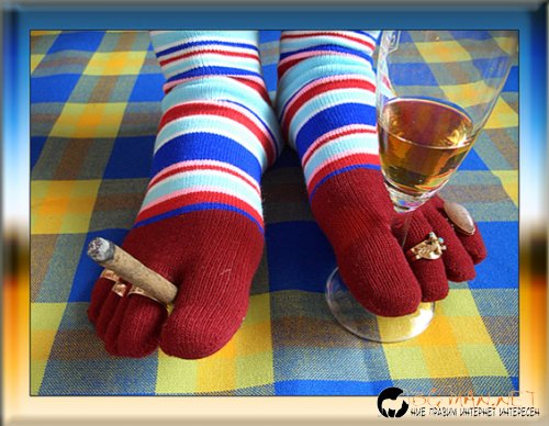 Днешната фотоподборка