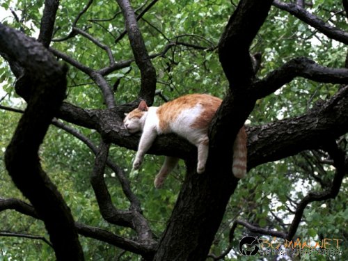 Днешната фотоподборка