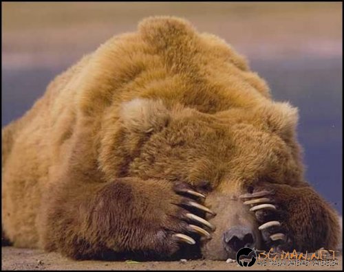 Днешната фотоподборка