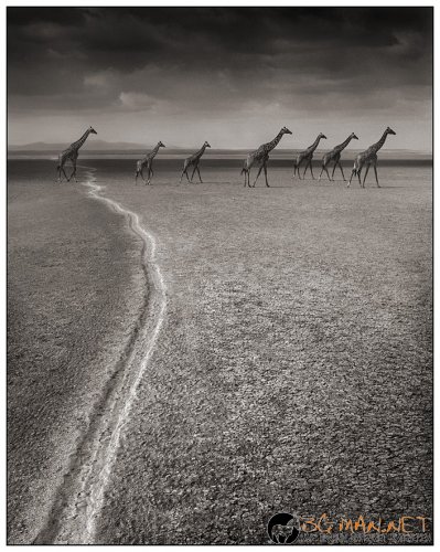 Африка в снимки