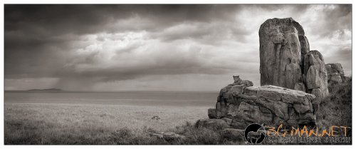 Африка в снимки