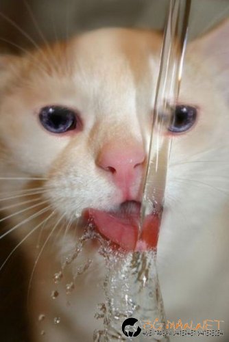 Топ снимките за днес 14.04